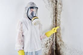 Professional Mold Remediation in Victor, ID